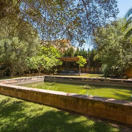 Son Floriana 卡拉米洛